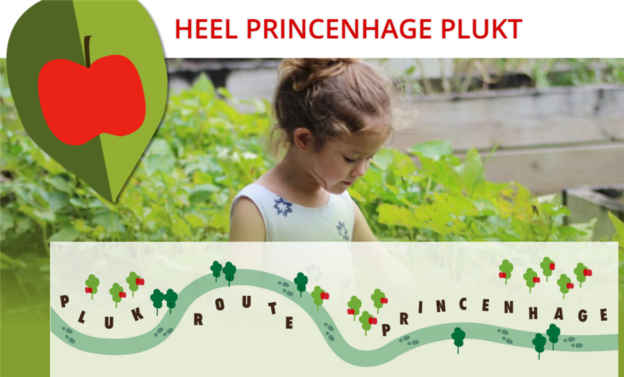 Bericht Plan Princevillepark belangrijke schakel voor Plukroute Princenhage bekijken